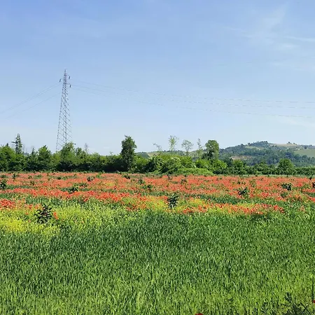La Cristina Appartamento Alba (Piedmont)